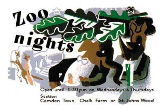 Zoo Nights Canvas A