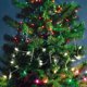 thumbnail image 3 of 10 piezas de decoración de bastones de caramelo, molinos de viento navideños, adornos para árbol de Navidad, recuerdos de fiesta, 3 of 7