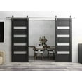 thumbnail image 3 of Sturdy Double Barn Door 48 x 96 inches | Quadro 4113 Matte Black Frosted Glass | Stainless Steel 13FT Rail Hangers Heavy Set | Solid Panel Interior Doors, 3 of 6