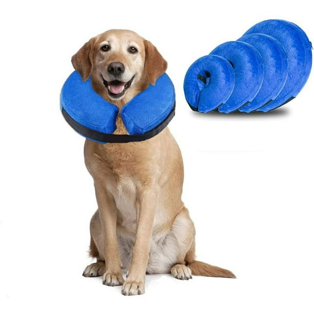 Dog funnel around neck online