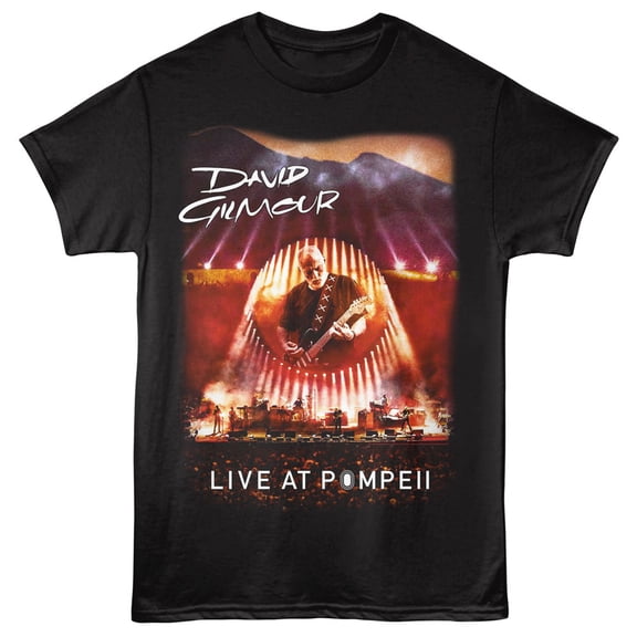 David Gilmour Pompeii Stage Men's T Shirt (Black, AdultS)