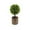 Multicolor D, variant on Yonrjhukm Artificial Green Plant Potted for Home Office Hotel Lobby Decoration, Realistic Simulation Indoor Decorative Plants, Worry-Free Maintenance, Long-Lasting Beauty