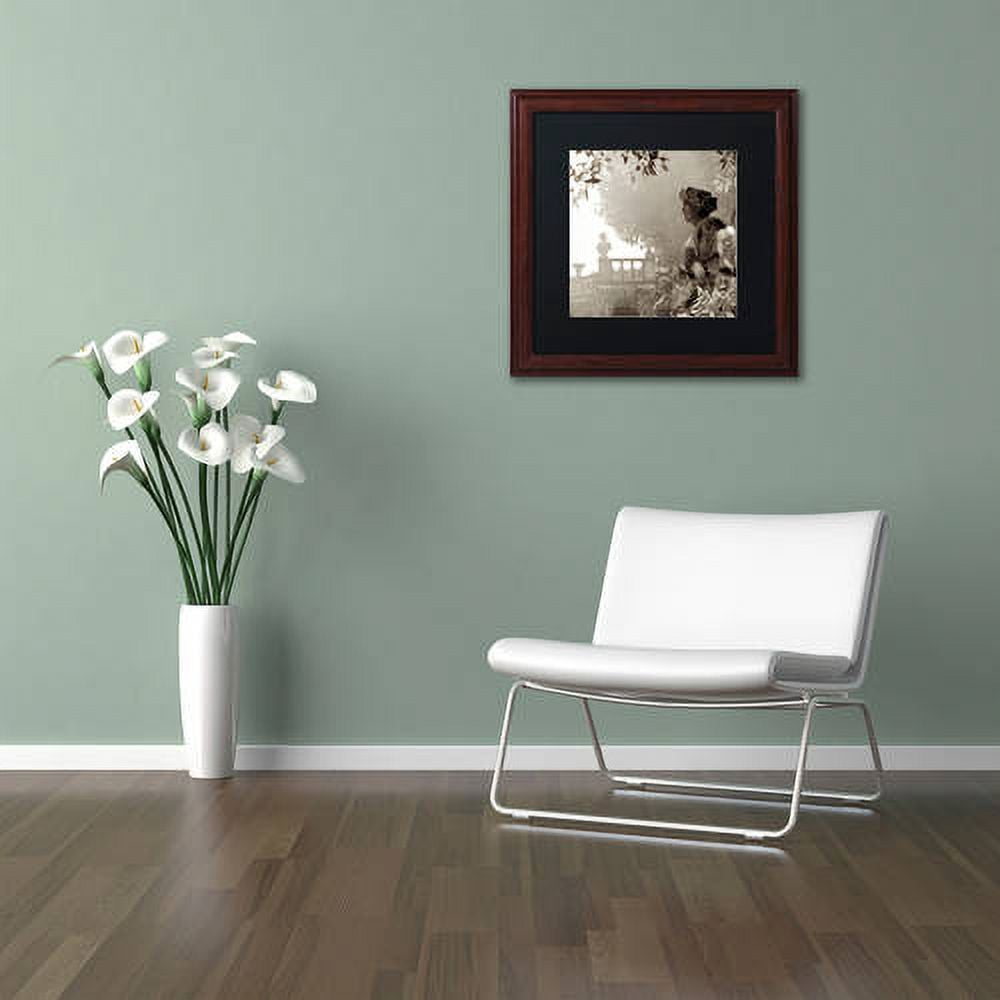 Trademark Fine Art "Tuscany VIII" Canvas Art by Alan Blaustein, Black Matte, Wood Frame