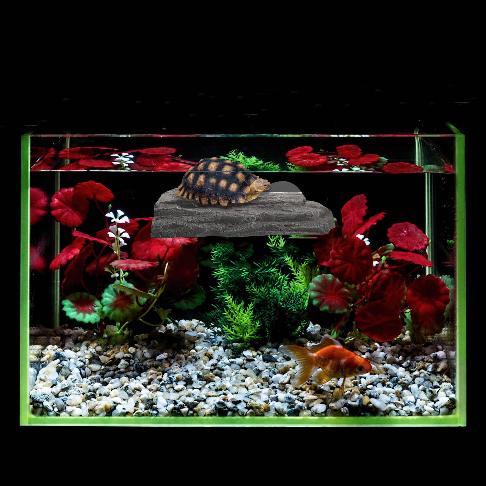 LULULION Dark Grey Resin Turtle Basking Platform for Aquatic Turtles and Reptiles