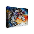 thumbnail image 2 of Trademark Fine Art 'Appaloosa Indian War Horse' Canvas Art by Marcia Baldwin, 2 of 3