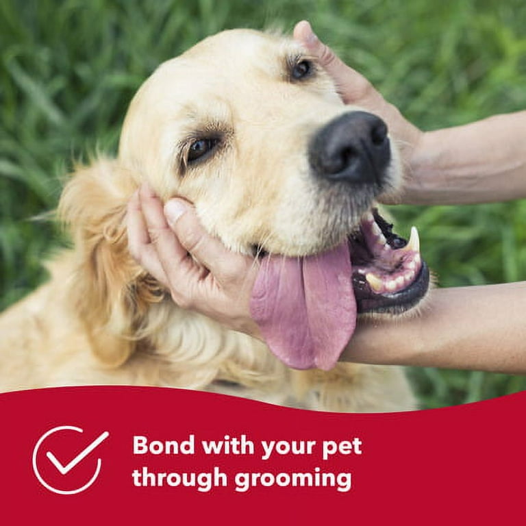 Safari pet clearance grooming