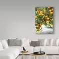 thumbnail image 3 of Trademark Fine Art 'Orange Trees' Canvas Art by Incredi, 3 of 3
