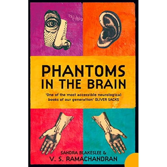 Pre-Owned Phantoms in the Brain : Human Nature and the Architecture of the Mind (Paperback) 1857028953 9781857028959