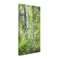 thumbnail image 3 of Trademark Fine Art Mandy Budan Hide And Seek Canvas Wall Art - 24x47, 3 of 4