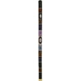 thumbnail image 1 of Toca DIDG-PT Bamboo Didgeridoo - Turtle, 1 of 1