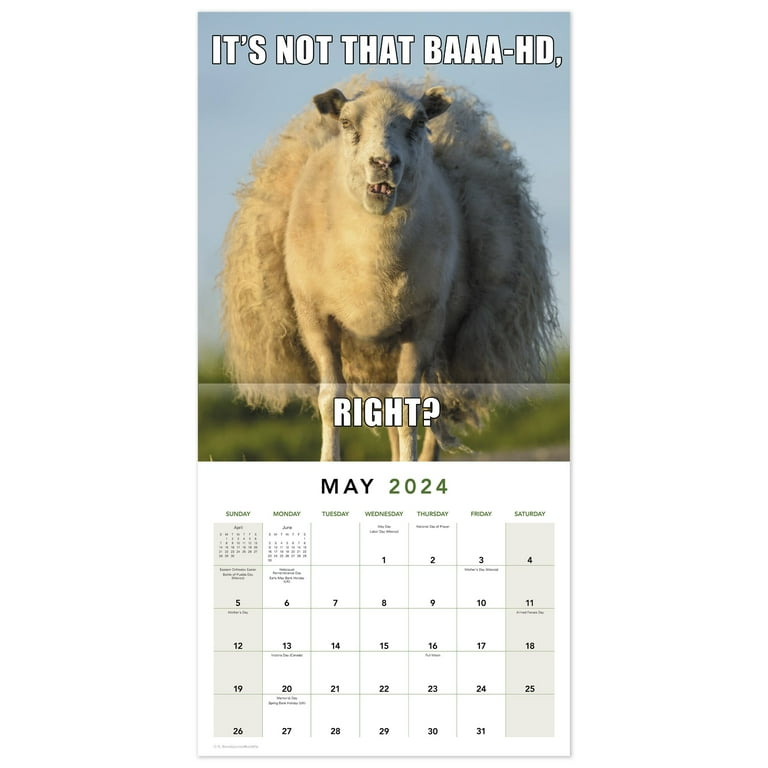 Memes Wall Calendar 2022 Meme Calendar May Update Meme Of The