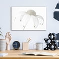 thumbnail image 4 of Epic Art 'Flannel Flower Neutral' by Elise Catterall, Acrylic Glass Wall Art, 16"x12", 4 of 8