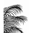 thumbnail image 2 of Fab Funky 12x14 White Modern Wood Framed Museum Art Print Titled - Palm Leaf 1, Black On White, 2 of 4