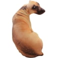 thumbnail image 2 of almohada 3D para perro Arco Iris Latino cojín de peluche con forma de animal 50cm, 2 of 4