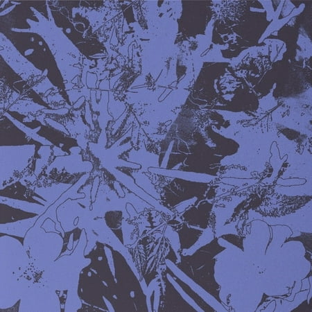 Quindi Records Plants Heal - Forest Dwellers - Music & Performance - Vinyl