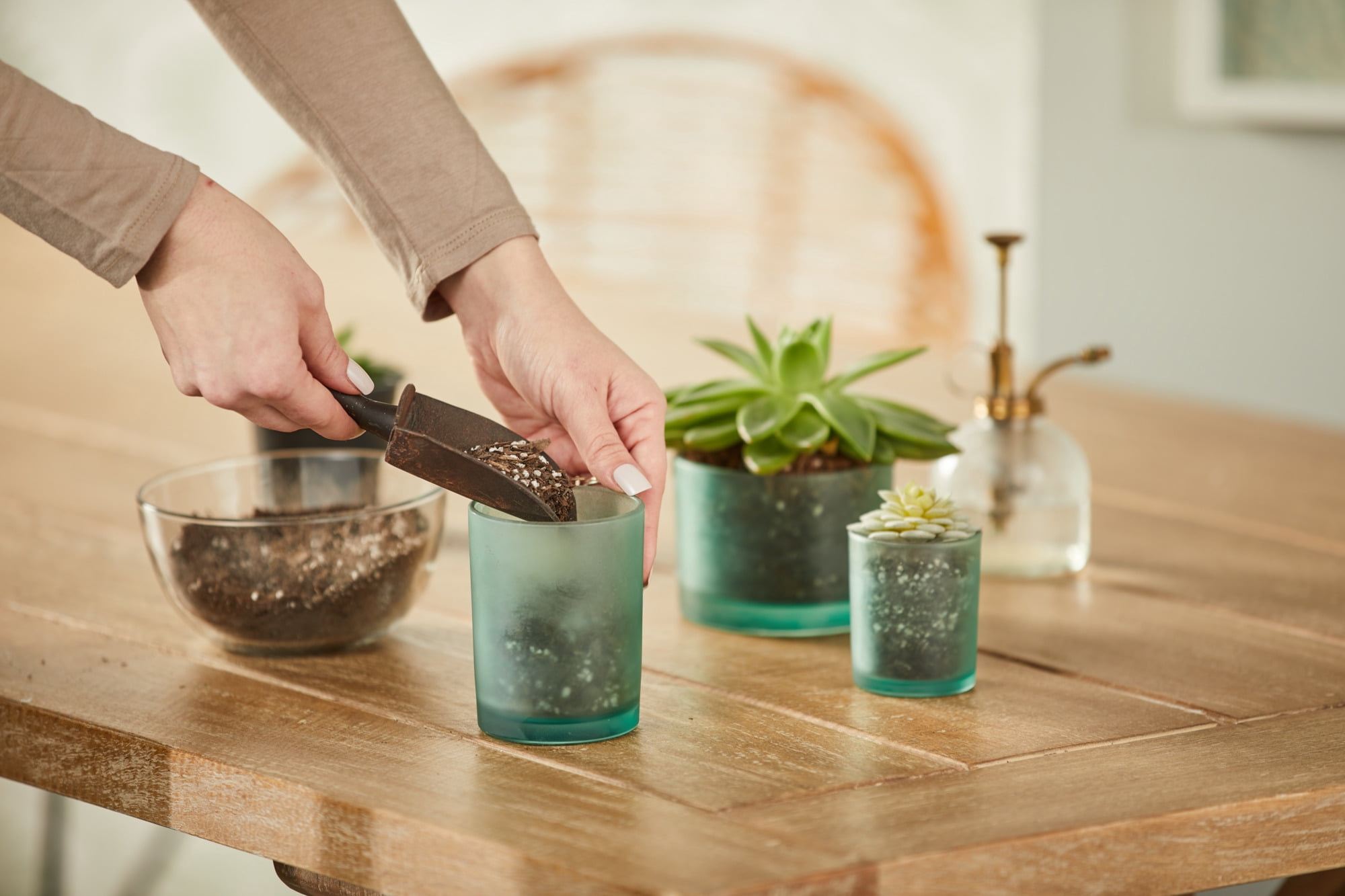 Chesapeake Bay Candle, Coffee Table 3-Wick Jar Candles | Balance (Waterlily Melon)