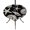 Black, variant on Round Outdoor Tablecloth with Umbrella Hole and Zipper, Black Starfish Coastal Tablecloth with Elastic Waterproof, Shell Coral Summer Beach Nautical Ocean Patio Table Covers for 55" - 60" Tables