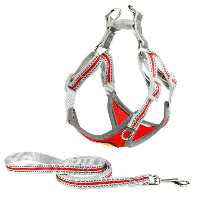 Harnais et Laisse Réfléchissants pour Chien, Gilet Ajustable pour Animal, Laisse de Marche pour Chiot, Chien, Chat, Chihuahua, Sangle de Poitrine, Accessoires