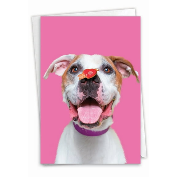 NobleWorks Birthday Greeting Card with 5 x 7 Inch Envelope (1 Card) Bday Heart Dogs C9161GBDG