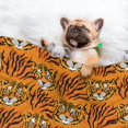 thumbnail image 3 of Naloa Tiger Dog Blanket, 3 Sizes Cat Blanket for Indoor Cats Large Medium Small Dog Gifts-Large, 3 of 8