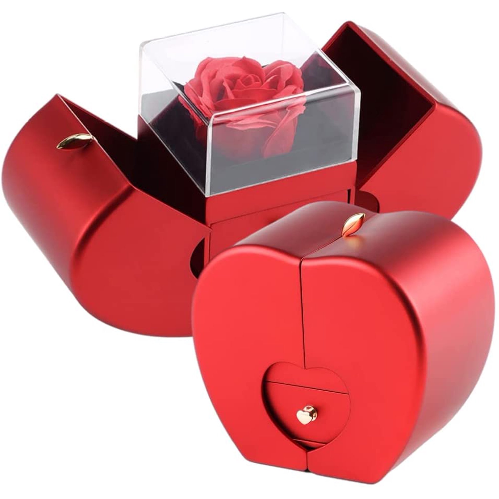 Natural Dried Flowers Proposal Ring Box Ecor Preserved Rose Women