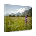 thumbnail image 2 of Tangletown Fine Art 'Glacier National Park' Photographic Print on Canvas, 2 of 2