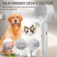 thumbnail image 6 of HAIKUADAY Cat Steam Brush 4-in-1 Pet Spray Comb for Indoor Cats, Rechargeable Steam Brush with Release Button for Long Short Hair Pet Clean Design Tool, White, 6 of 8