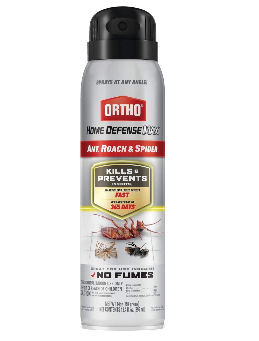 Ant And Roach Kitchen Defense: Eliminate Pesky Invaders For A Pest-Free Home