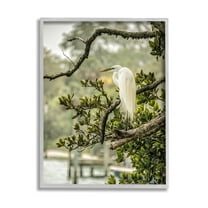 Stupell Industries Elegant Bird Perched Lakeside Tree Photograph Gray Framed Art Print Wall Art, Design by Mary Lou Photography