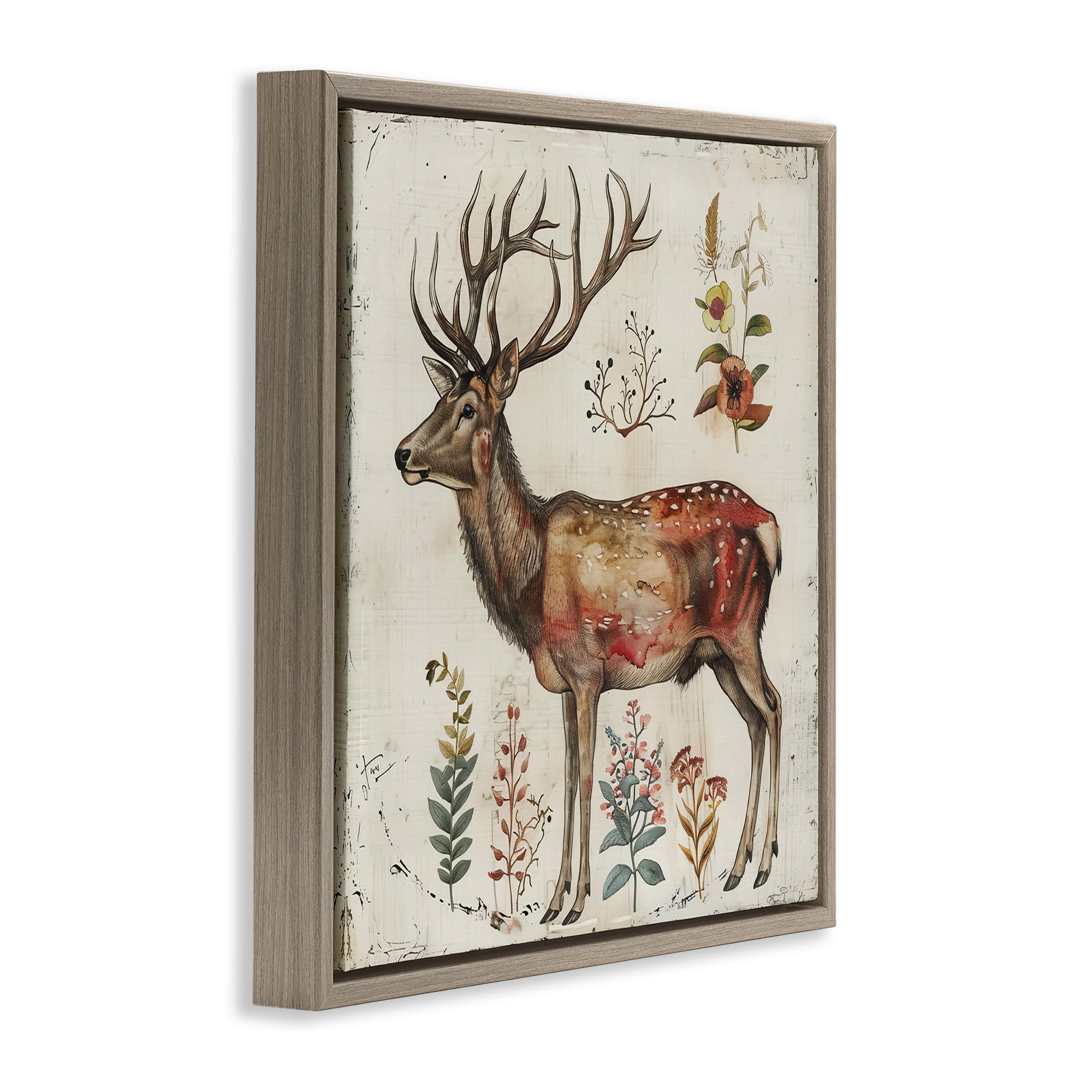 Stupell Industries Forest Elk with Botanicals Animals & Insects Painting Brown Floater Framed Canvas Art Print Wall Art, 18 x 18