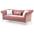thumbnail image 2 of Glory Furniture Madrid G0543A-S Sofa  PINK Velvet, 2 of 5