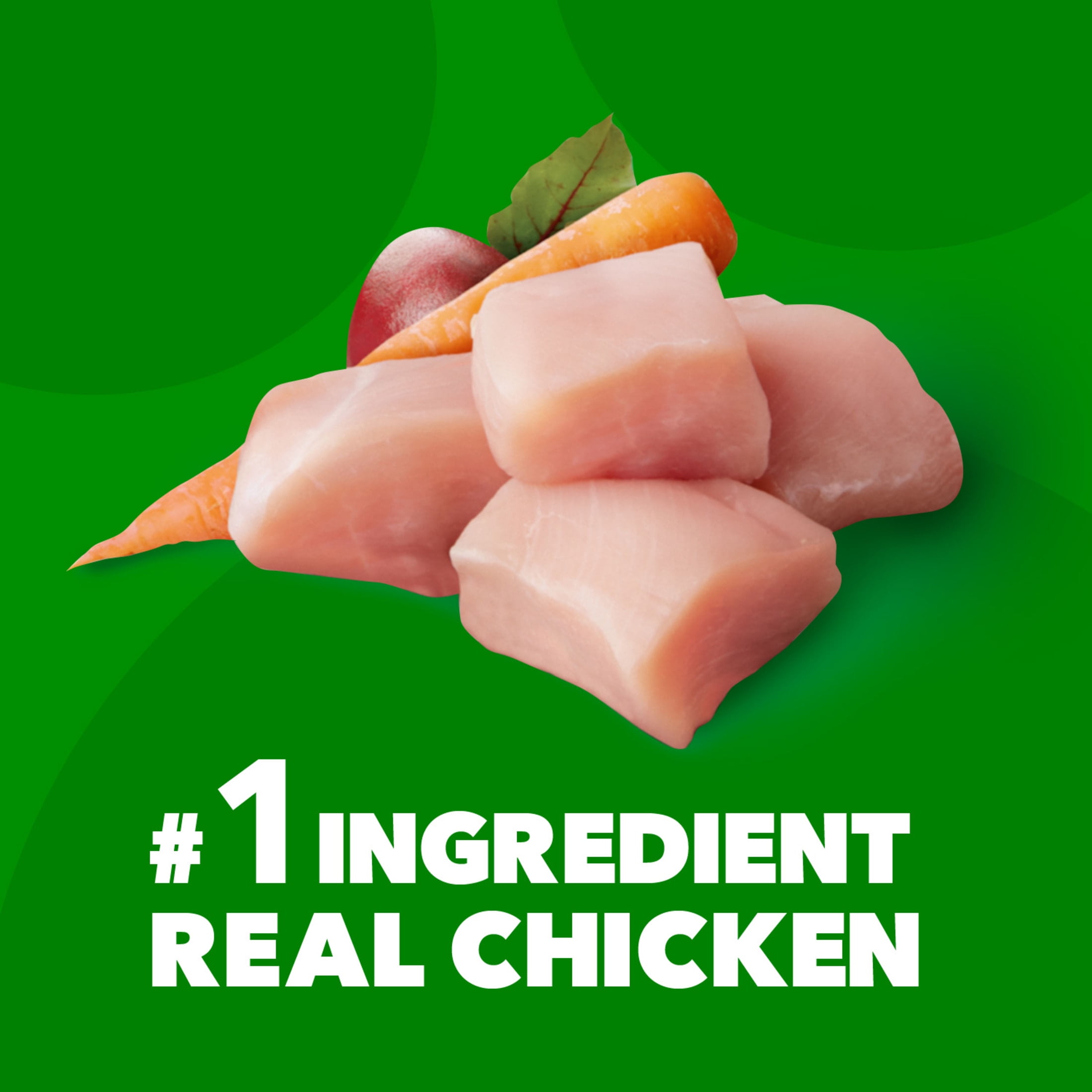 Iams Proactive Health Minichunks Dry Dog Food - Real Chicken