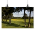 thumbnail image 2 of Print: Rural Alabama In The Spring, 2010, 2 of 4