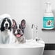 thumbnail image 5 of Pisexur Suministros para mascotas Pet Waterless Shampoo Foam 300ml Cleaning Foam With Deodorizing Fresh Perfume Dry Bath For Pet Spanking Cleaning Between Baths For Traveperros, gatos y animales, 5 of 6