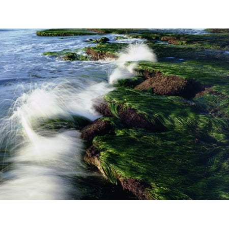 USA, California, San Diego. Waves Breaking on Tide Pools Print Wall Art By Jaynes