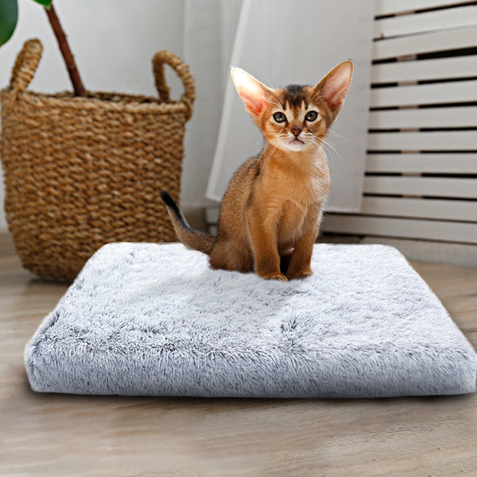 Dog Bed, Waterproof Carton Foam Cotton Dog Bed with Removable Washable Cover, Non-slip Bottom, Pet Sleeping Mat for Large Medium Small Dogs & Cats, 40x30x8cm