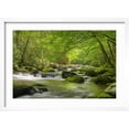 thumbnail image 2 of Art.com Cascading Creek, Great Smoky Mountains National Park, Tennessee, USA Photographic Print, White Frame Wall Art, 23" x 17", 2 of 5