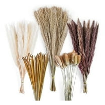 120Pcs Dried Pampas Grass Bouquet Decor, Room Wedding Party Arrangements,Fall Dry Flowers Bundles Bulk Tall