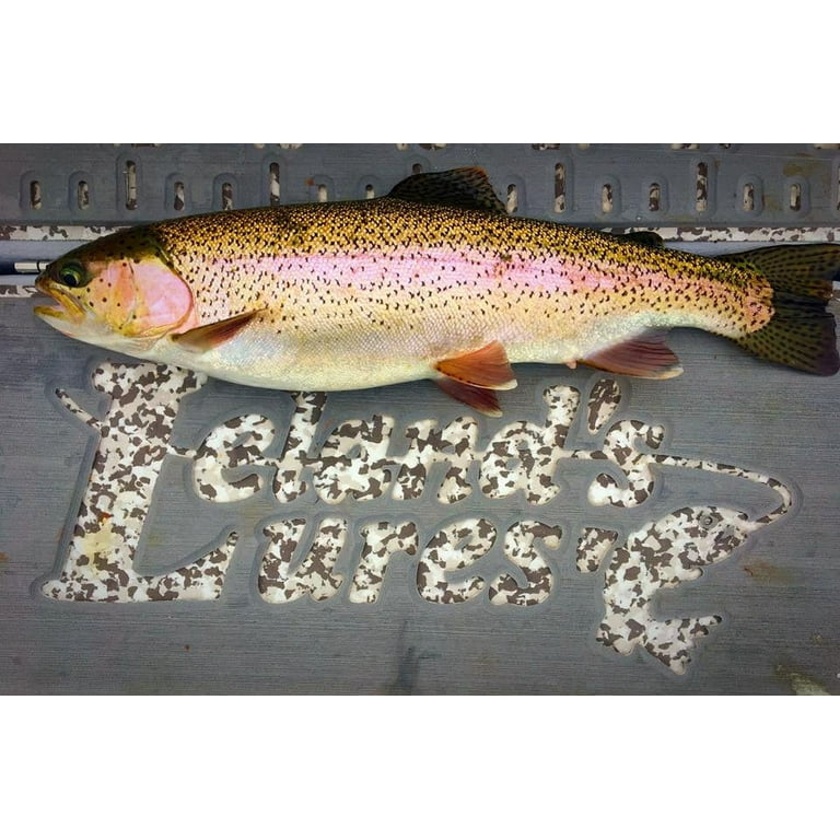 M Contact - Rainbow Trout The Bull Trout Magnet 12cm - CST