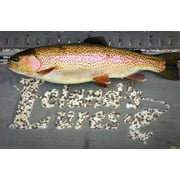 Leland Lures Trout Magnet Softbait and Float Combo