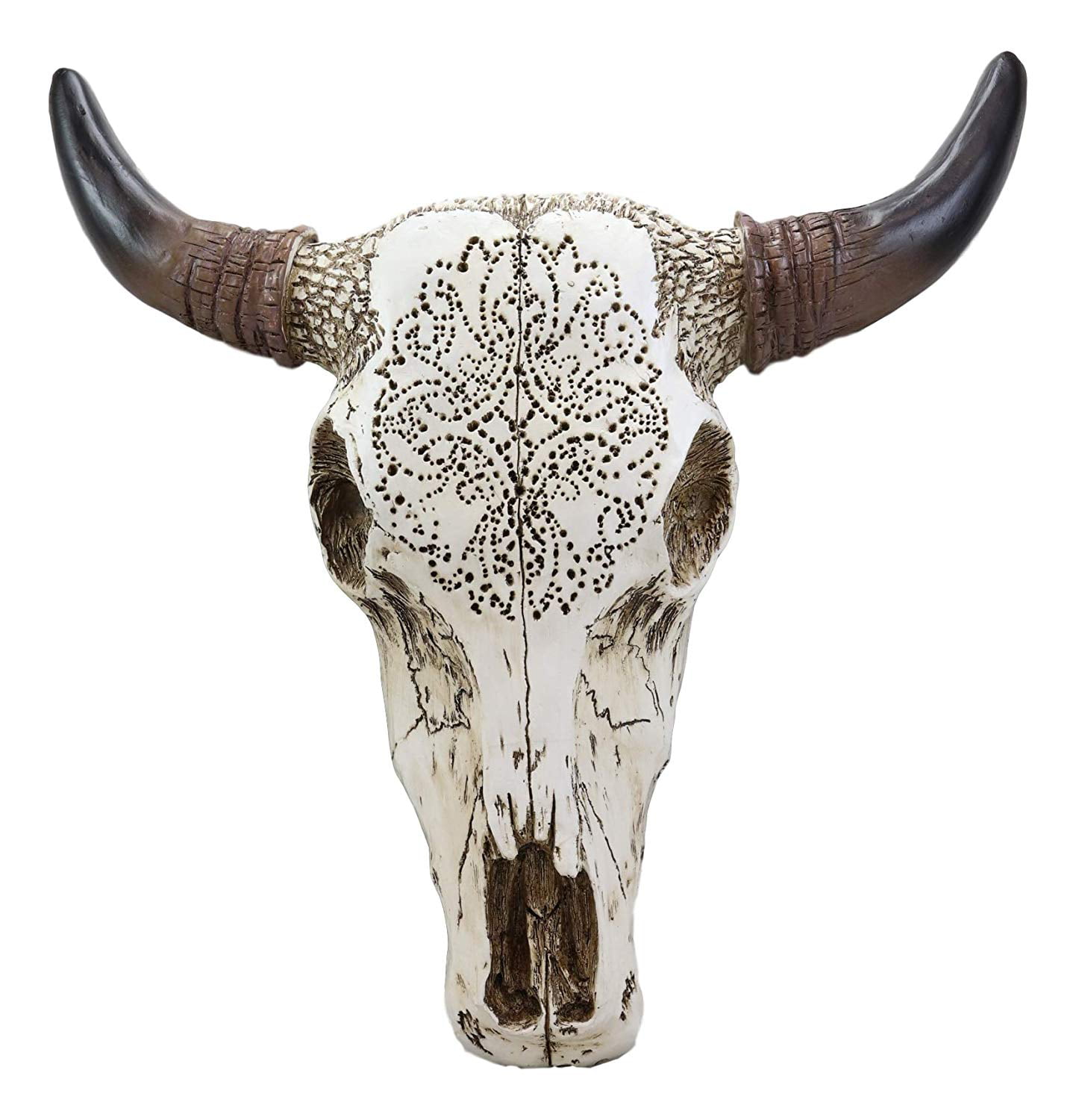 Large Taxidermy Buffalo Skull & Horns Wall Hang Horns Buffalo Longhorns Bull 