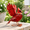 Red Cardinal, variant on Black Bald Eagle Metal Outdoor Garden Statue Yard Decoration Sculpture