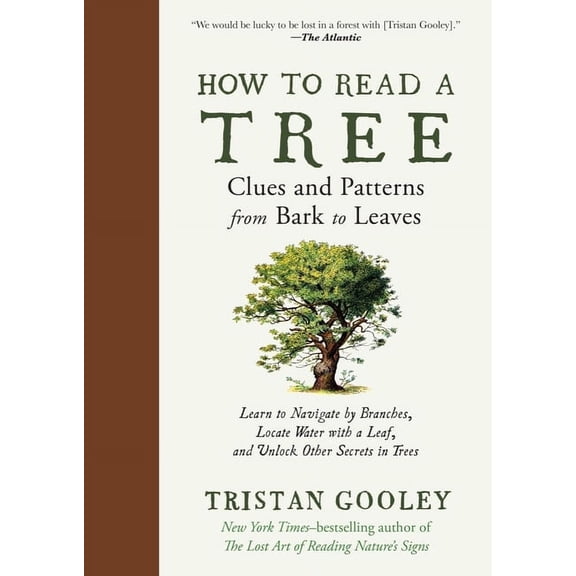 Natural Navigation How to Read a Tree: Clues and Patterns from Bark to Leaves, (Hardcover)