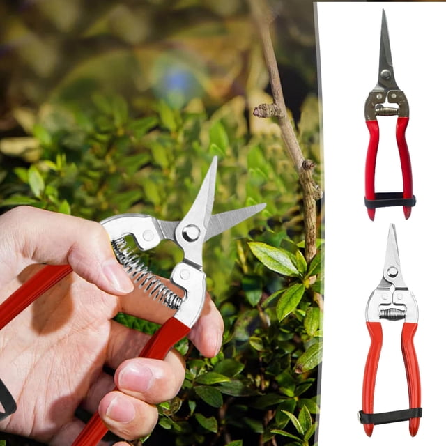 Tijeras profesionales para podar jardín - tijeras de acero inoxidable para recortar ramas, cortar frutas y flores con mango antideslizante
