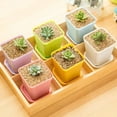 thumbnail image 5 of Nvzi Paquete de 24 macetas de plástico cuadradas para vivero, macetas de plástico de 3 pulgadas, maceta con bandeja y platillo para decoración de interiores, exteriores,transparente, 5 of 5
