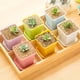 thumbnail image 5 of Nvzi Paquete de 24 macetas de plástico cuadradas para vivero, macetas de plástico de 3 pulgadas, maceta con bandeja y platillo para decoración de interiores, exteriores,color verde, 5 of 5