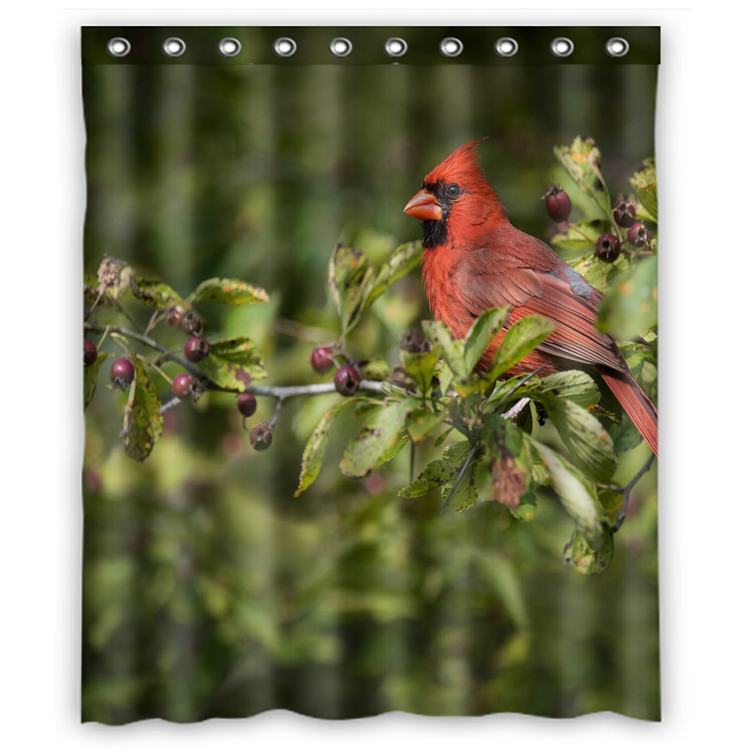 ECZJNT A Northern Cardinal in Toronto Shower Curtain Bathroom
