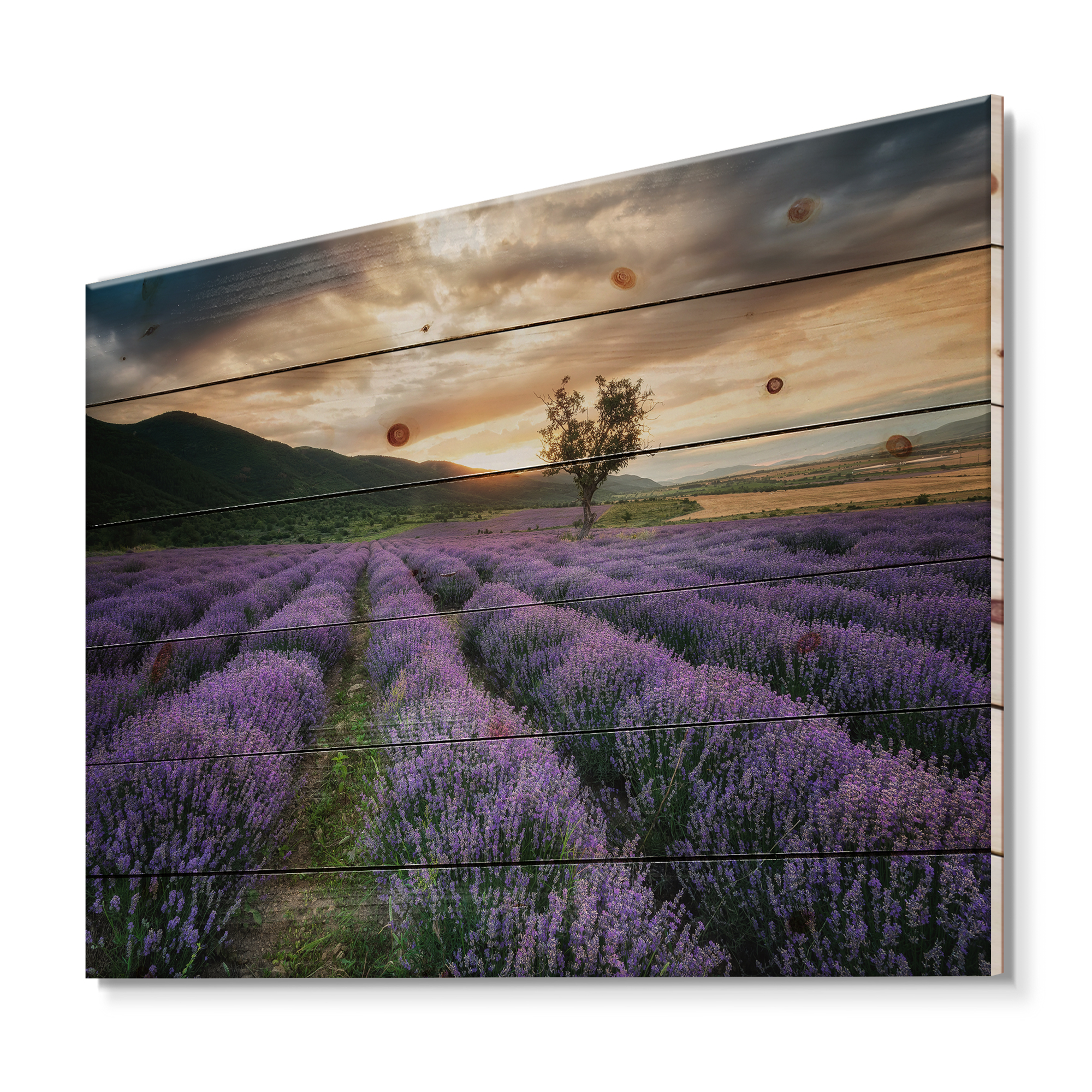 Designart 'Dramatic Clouds and Sunrise Over Lavender Field VII' Farmhouse Print on Natural Pine Wood