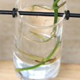 thumbnail image 3 of justharion Glass Tube Vase Flower Pot Planter Propagation Terrarium Home, 3 of 8