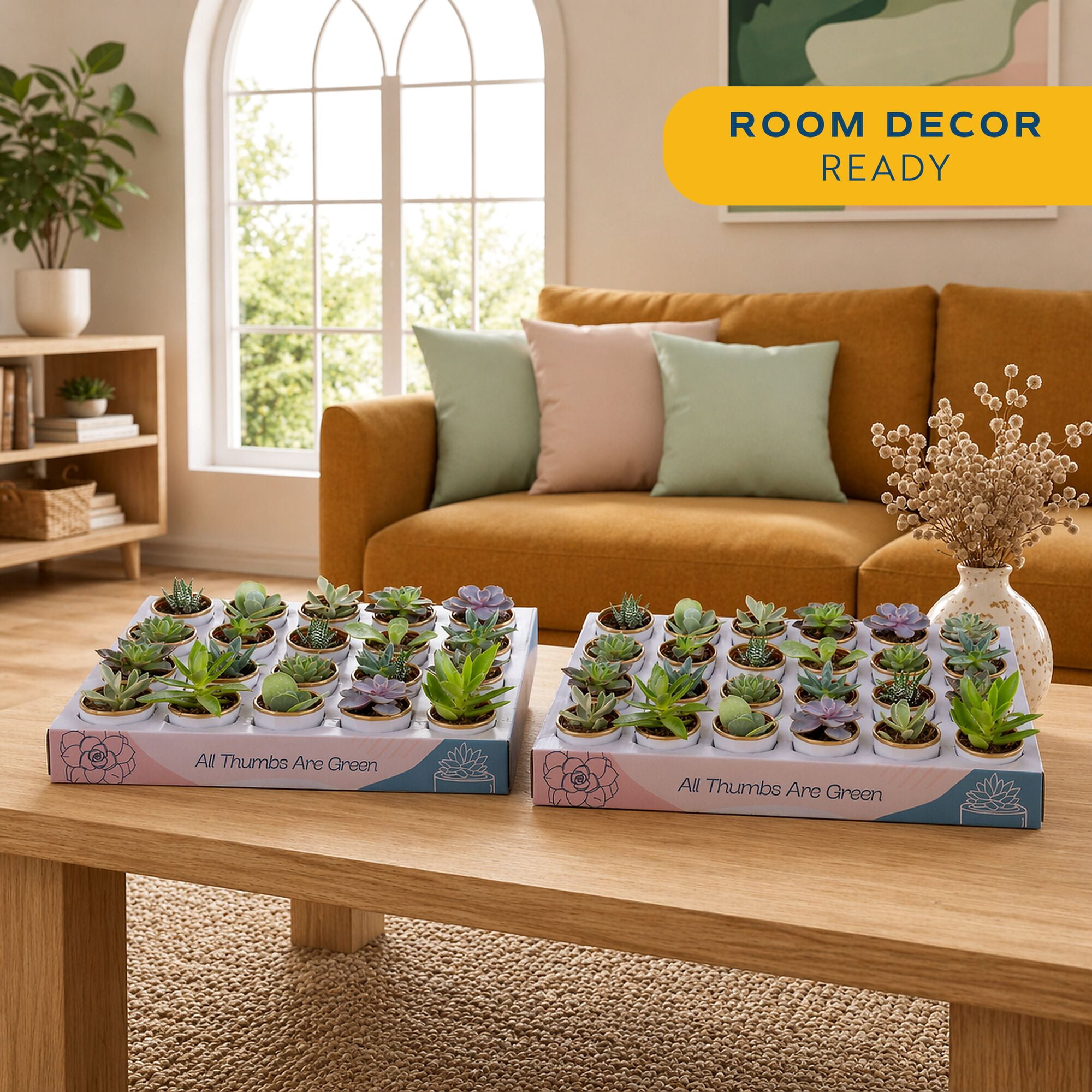 Costa Farms 3" Tall Assorted Succulents, Bright Direct Sunlight, Indoor Live House Plants, 48-Pk